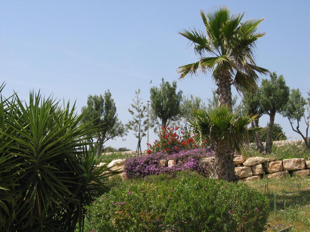 Relais Parco Cavalonga 호텔 돈나푸가타 외부 사진